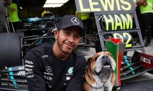 Lumea arde și Lewis Hamilton vrea să-și schimbe numele!
