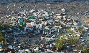 Peste 14 tone de deşeuri colectate în doar zece zile de pe râurile din Transilvania