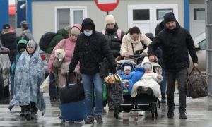IGPF: Peste 8.000 de ucraineni au intrat, vineri, în România