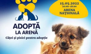Campanie de amploare pentru ADOPȚIA de câini și pisici la Arena Națională
