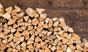 Vestea așteptată de milioane de români. Prețul lemnelor de foc va fi PLAFONAT, dar nu cu cât era prevăzut 