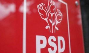 PSD cere anchetă extinsă la PMB și la Primăria Sector 6, în cazul femeii ucise de câini lângă Lacul Morii