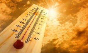 ONU avertizează: În următorii ani vom trăi cea mai caldă perioadă înregistrată vreodată