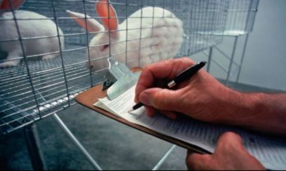 Parlamentul European vrea ELIMINAREA experimentelor pe animale