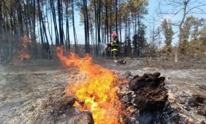 Zeci de pompieri români se LUPTĂ cu flăcările în Franța. Mesaj de mulțumire al localnicilor